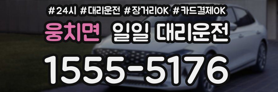 웅치면 일일 대리운전