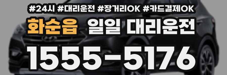 화순읍 일일 대리운전