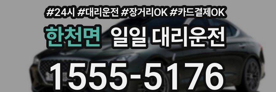 한천면 일일 대리운전