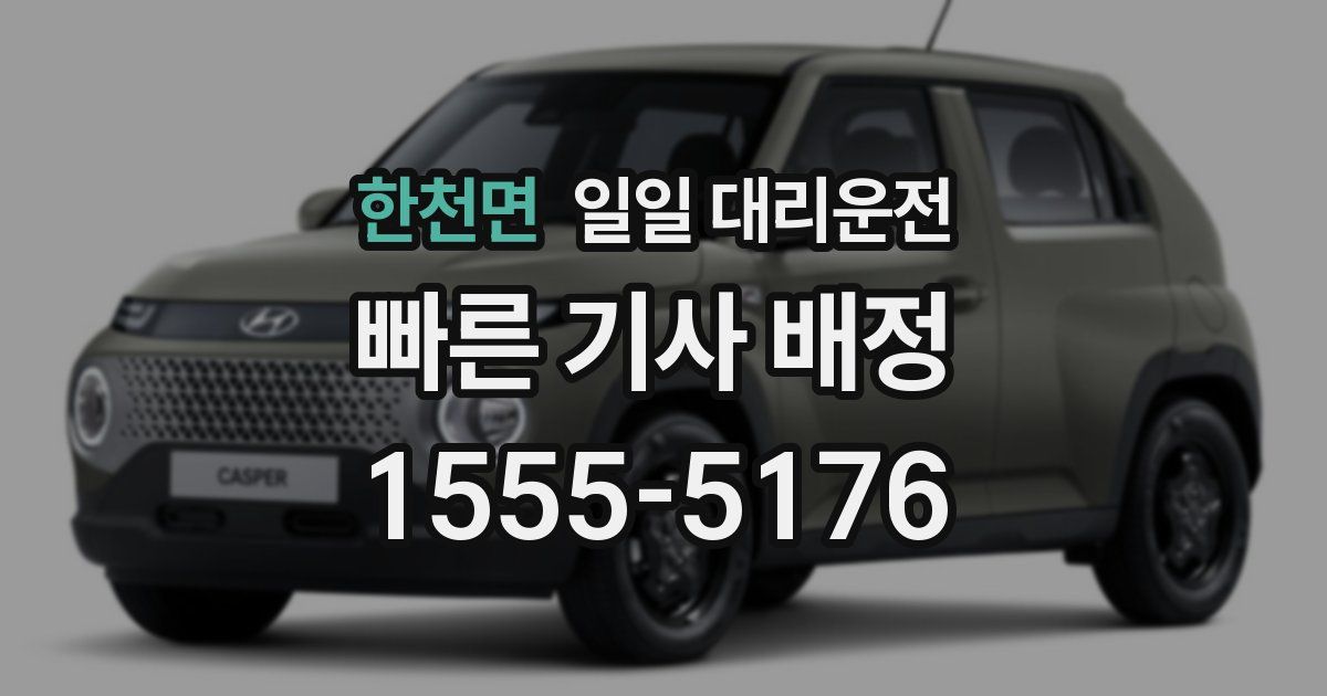 한천면 일일 대리운전