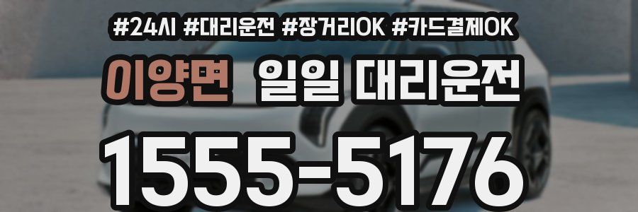이양면 일일 대리운전