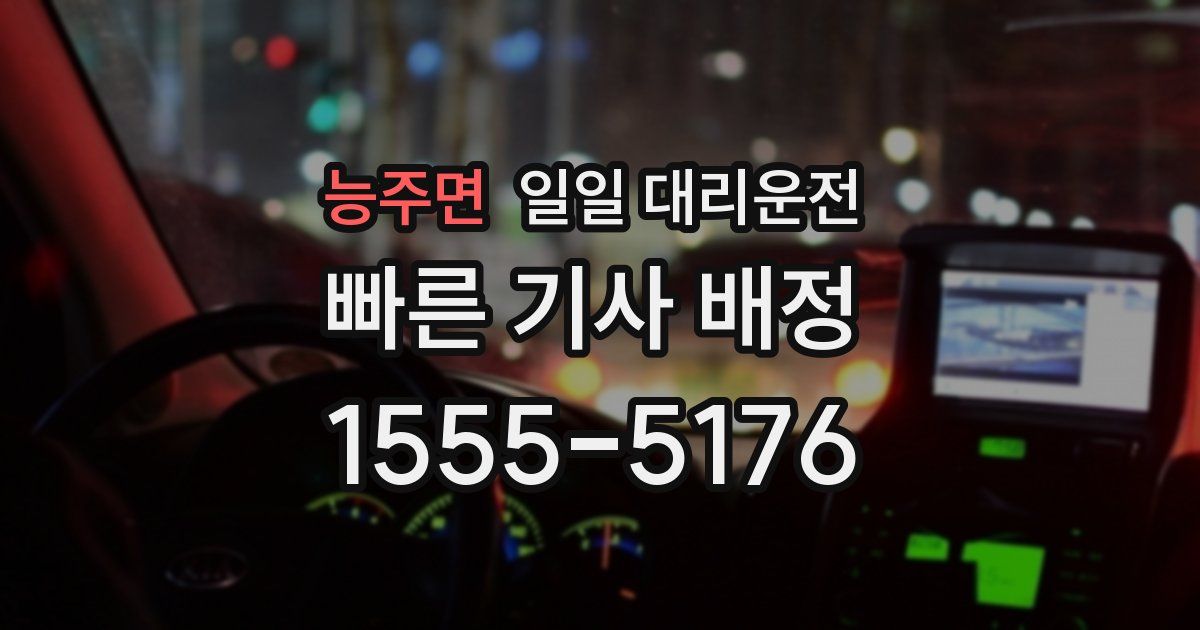능주면 일일 대리운전