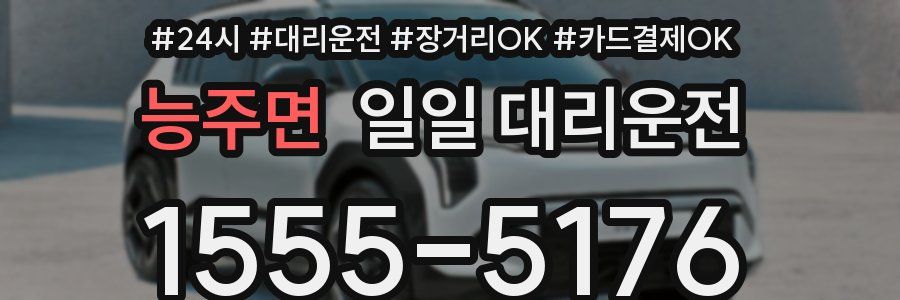 능주면 일일 대리운전