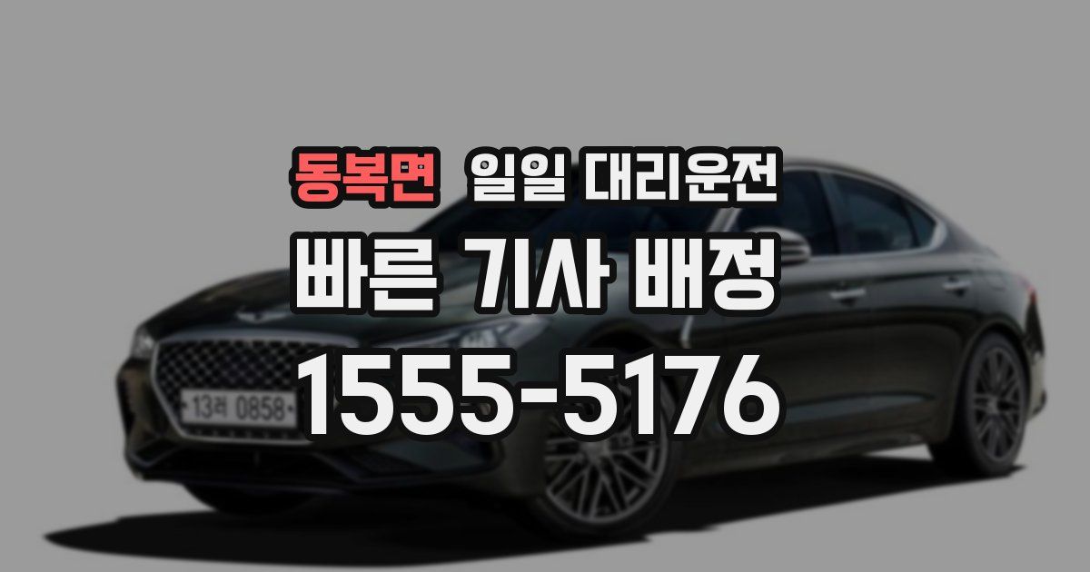 동복면 일일 대리운전