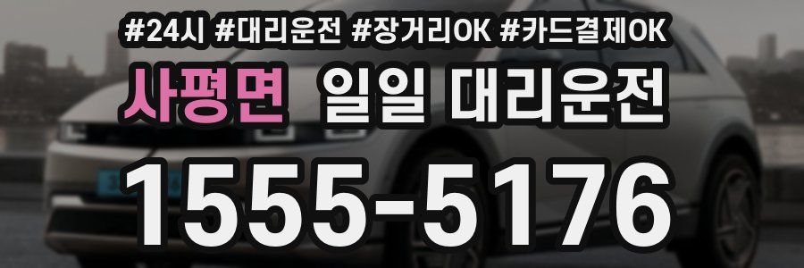 사평면 일일 대리운전