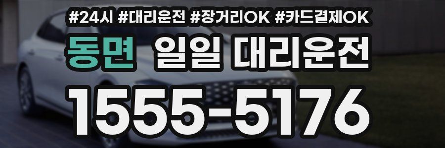 동면 일일 대리운전