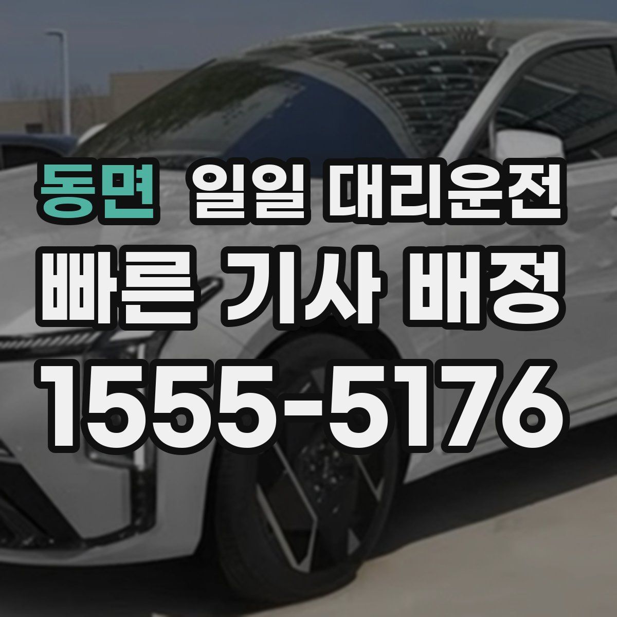 동면 일일 대리운전