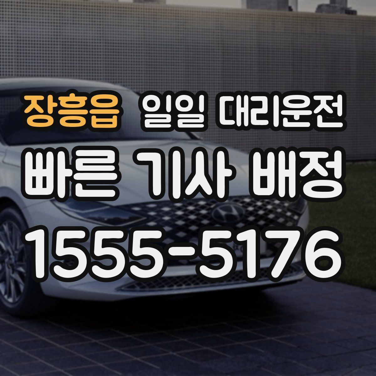 장흥읍 일일 대리운전