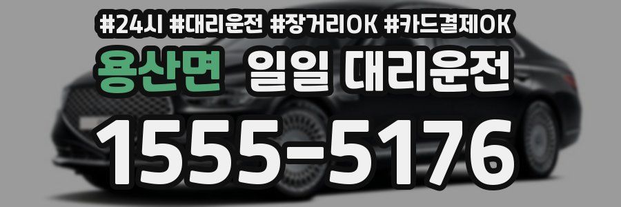 용산면 일일 대리운전
