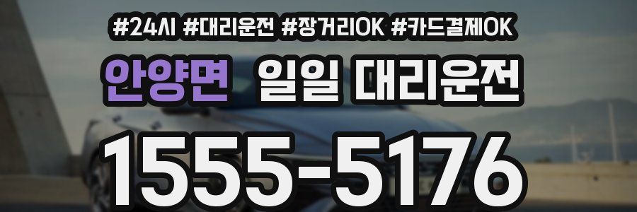 안양면 일일 대리운전