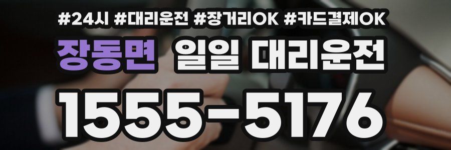 장동면 일일 대리운전