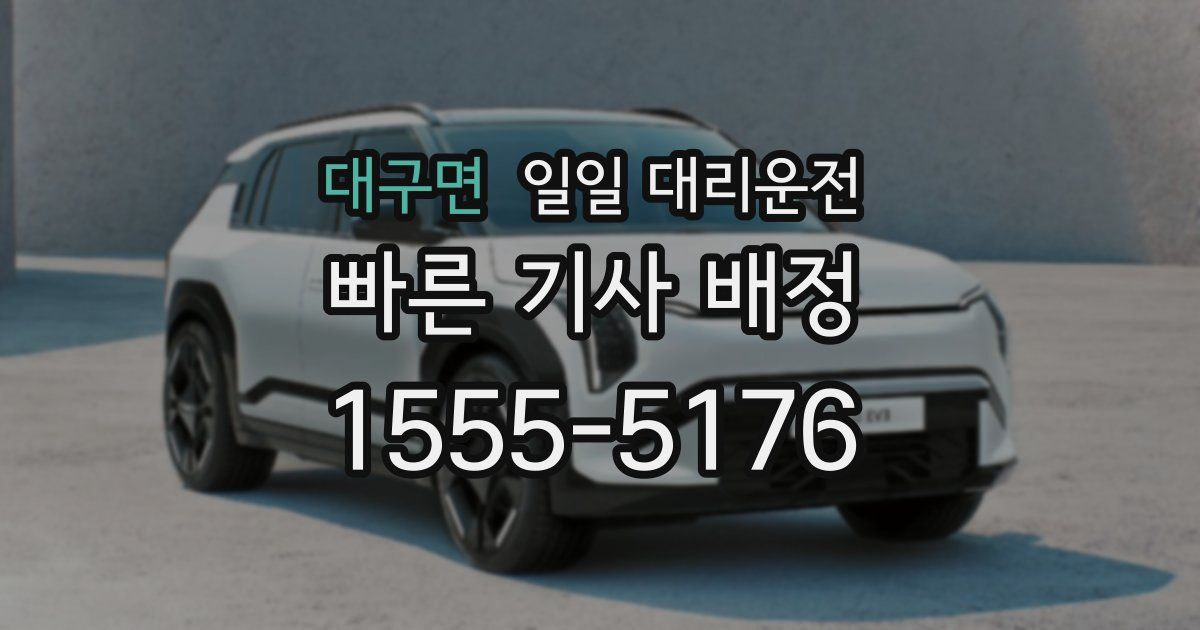 대구면 일일 대리운전