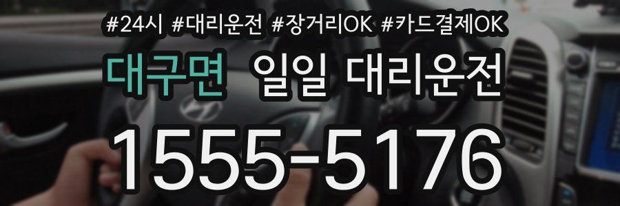 대구면 일일 대리운전