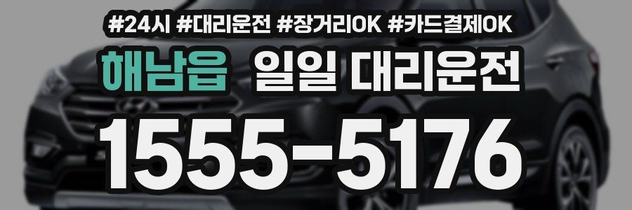 해남읍 일일 대리운전