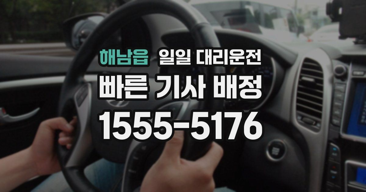 해남읍 일일 대리운전