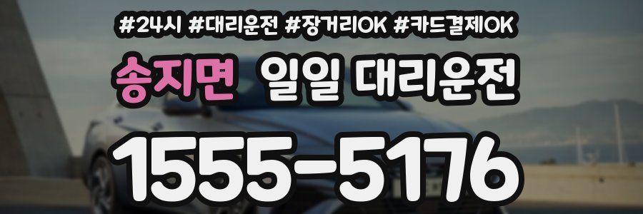 송지면 일일 대리운전