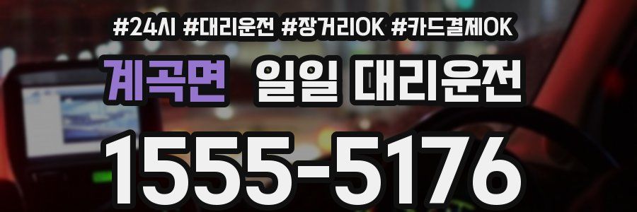 계곡면 일일 대리운전
