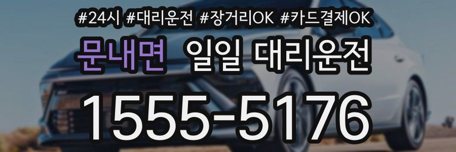 문내면 일일 대리운전