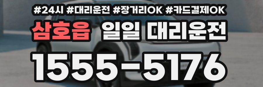 삼호읍 일일 대리운전