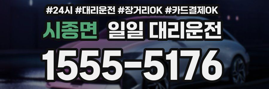 시종면 일일 대리운전