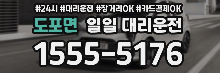 도포면 일일 대리운전
