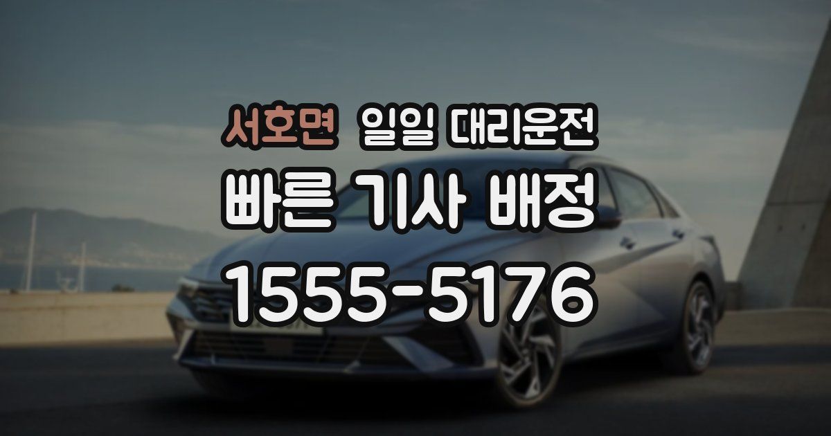 서호면 일일 대리운전