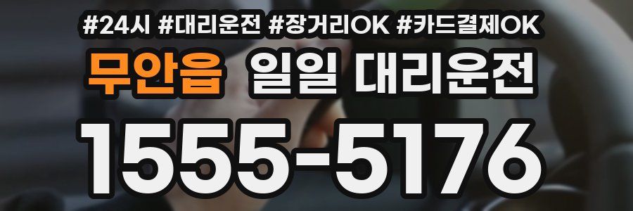 무안읍 일일 대리운전