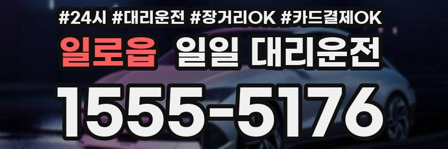 일로읍 일일 대리운전