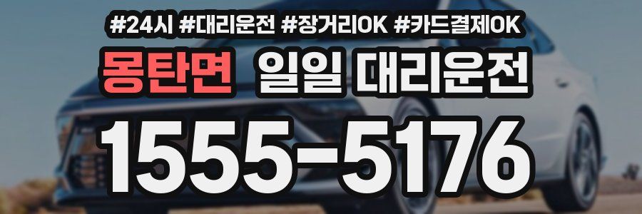 몽탄면 일일 대리운전