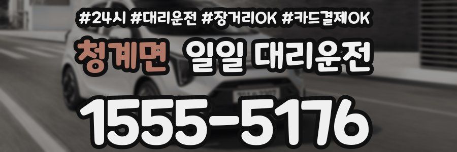 청계면 일일 대리운전