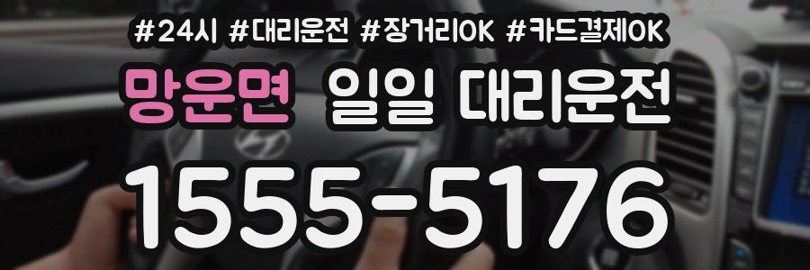 망운면 일일 대리운전