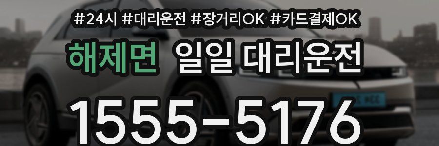 해제면 일일 대리운전