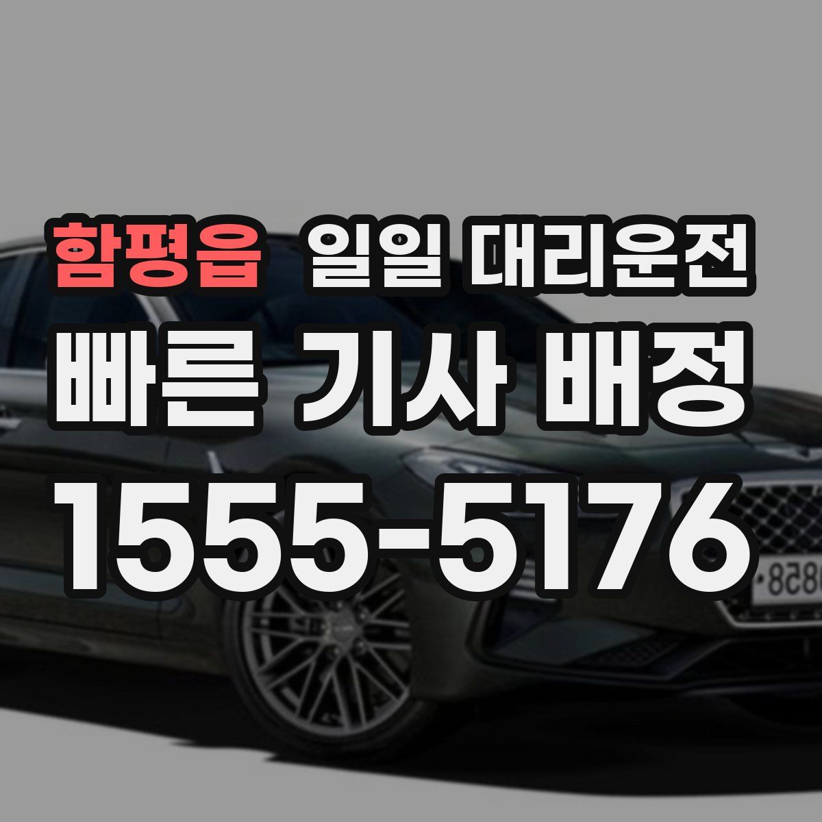 함평읍 일일 대리운전