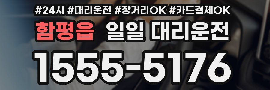 함평읍 일일 대리운전