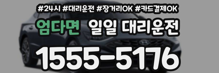 엄다면 일일 대리운전