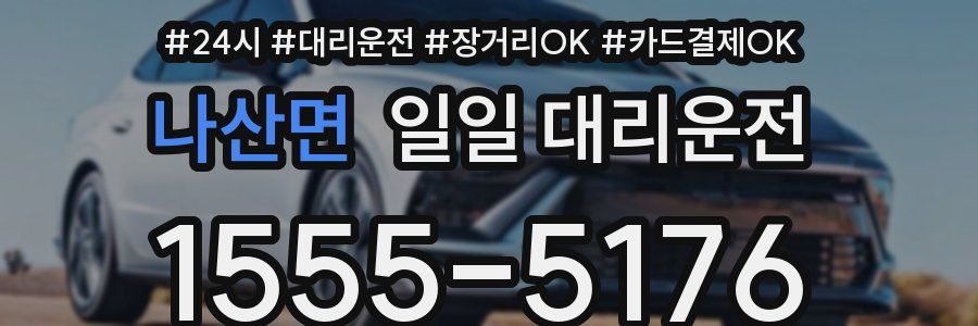 나산면 일일 대리운전