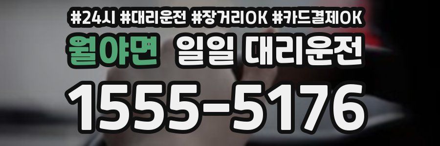 월야면 일일 대리운전