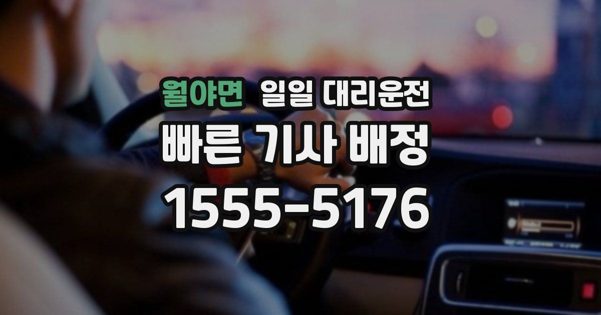 월야면 일일 대리운전