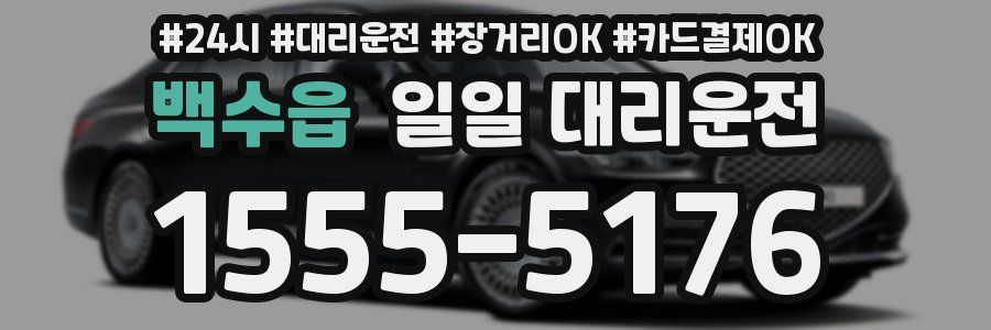 백수읍 일일 대리운전