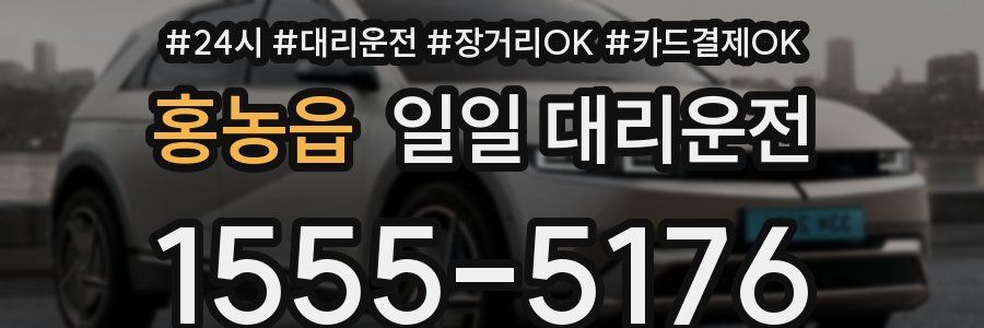 홍농읍 일일 대리운전