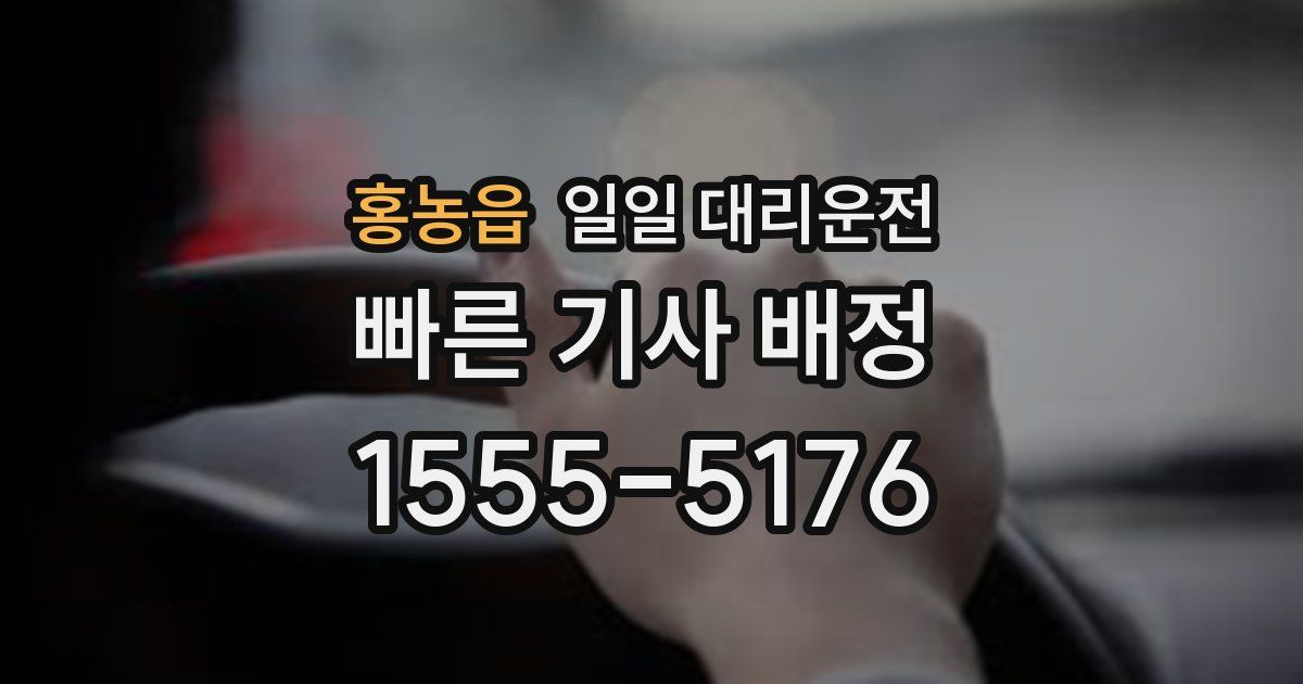 홍농읍 일일 대리운전