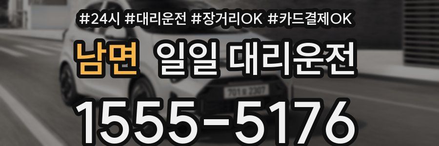 남면 일일 대리운전