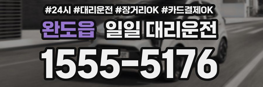 완도읍 일일 대리운전