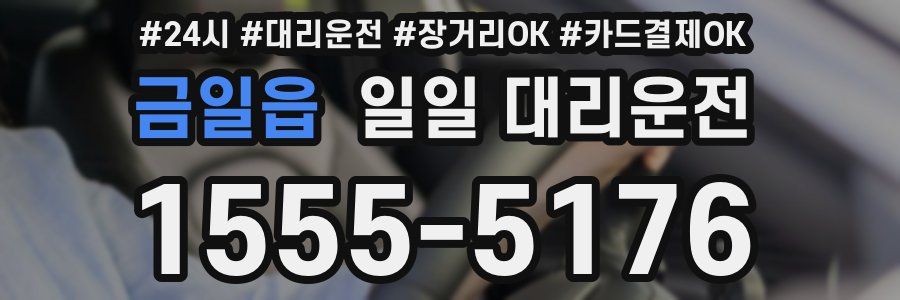 금일읍 일일 대리운전