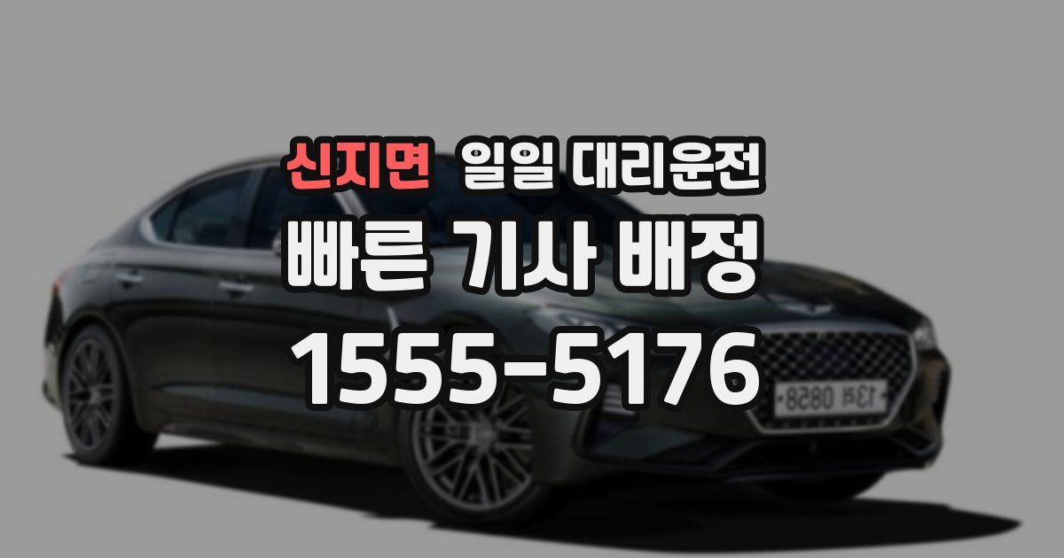 신지면 일일 대리운전