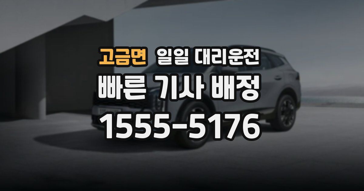 고금면 일일 대리운전