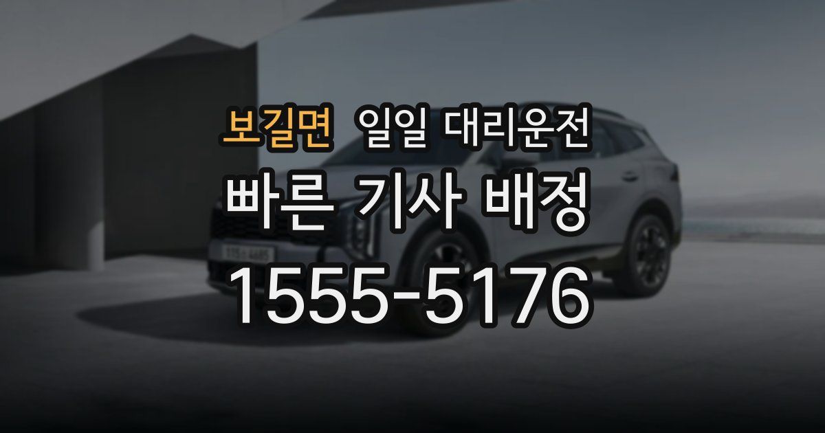 보길면 일일 대리운전