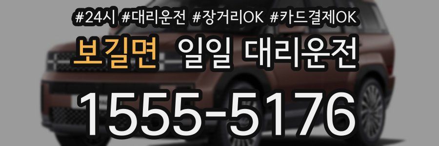 보길면 일일 대리운전