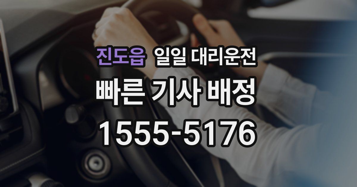 진도읍 일일 대리운전