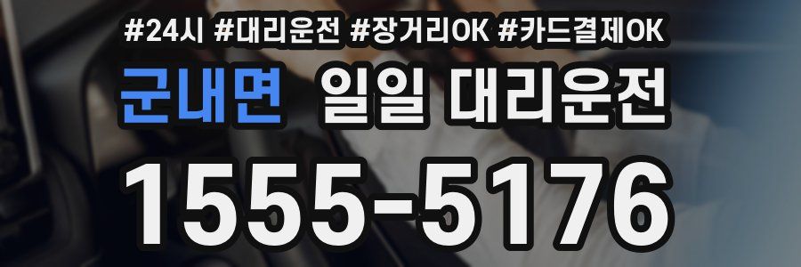 군내면 일일 대리운전